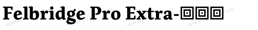 Felbridge Pro Extra字体转换 Felbridge Pro Extra字体转换